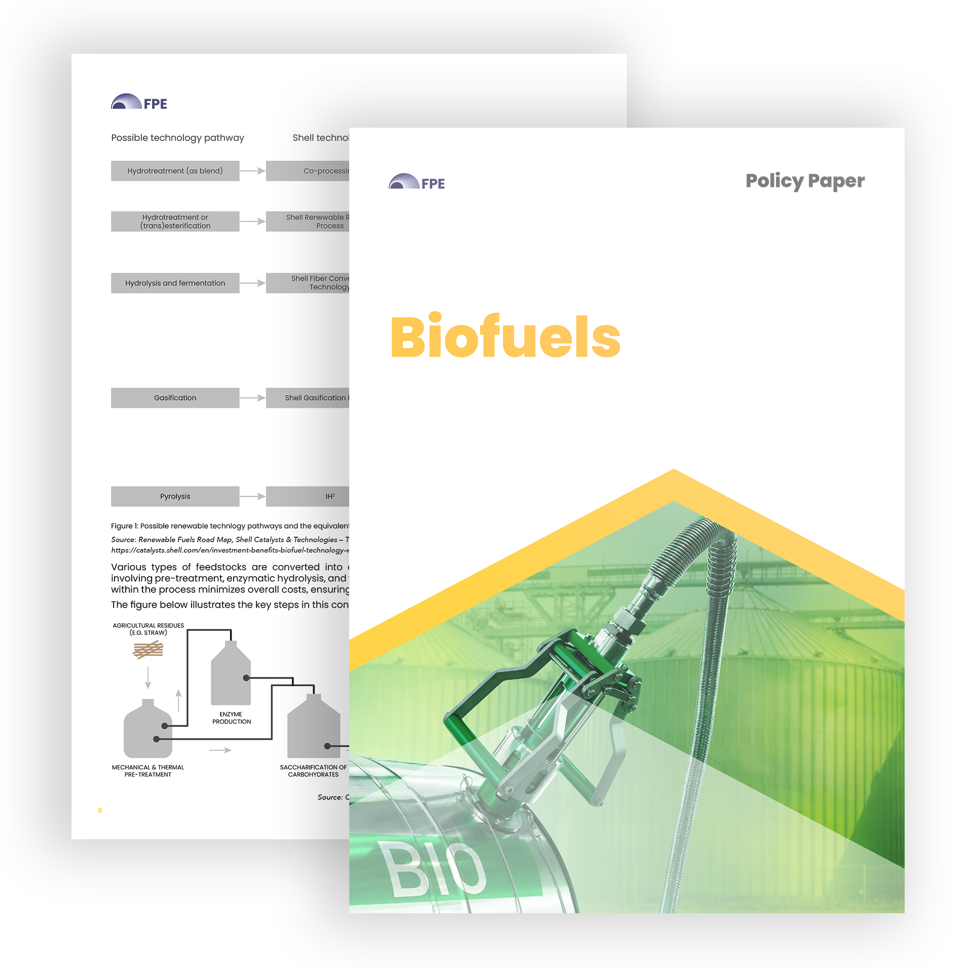 cover policy paper biocombustibili romana fpe