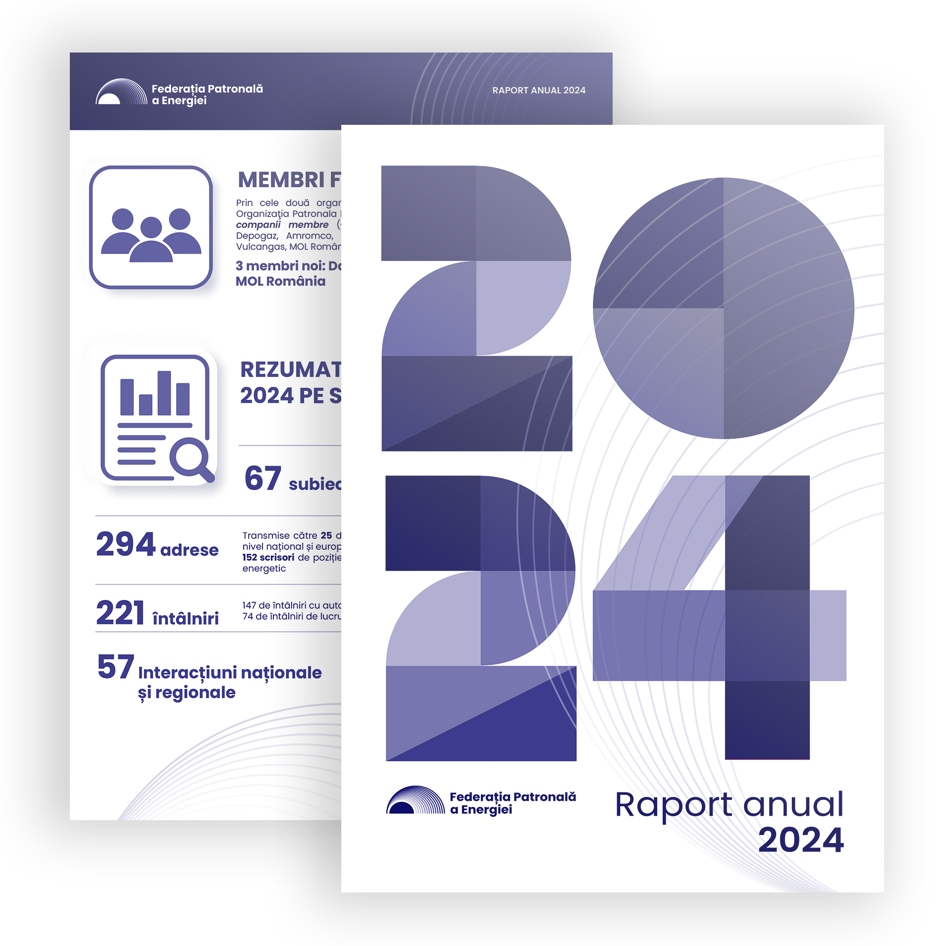 cover raport anual 2024 Romana fpe