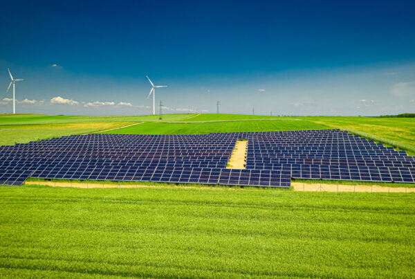 STUDIUL DNV ENERGY TRANSITION OUTLOOK 2025 fpe